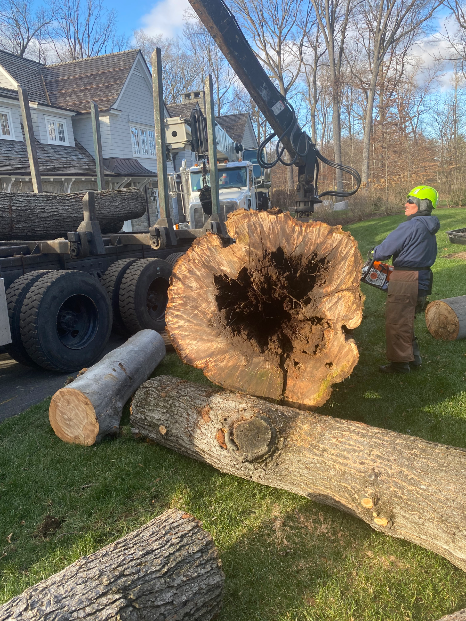 Hazardous tree removal
